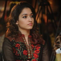 Tamanna at Badrinath 50days Function pictures | Picture 51631